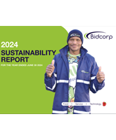 sustainability reports 